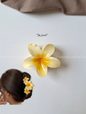 گیره مو و کلیپس گل پلومریا Plumeria وارداتی مناسب برای جمع کردن ، زیبایی و لطافت مو با استحکام بالا